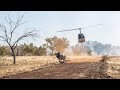 Mustering And Bull Catching In The Kimberley 2022
