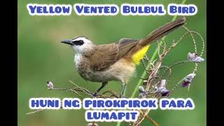 Download lagu Huni ng PIROKPIROK mp3