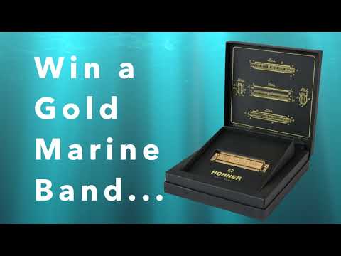 Harpin' By The Sea 2021