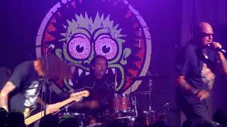 Voodoo Glow Skulls "Human Piñata" from Bad Astronaut/Vinyl Voices