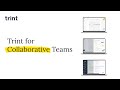 Trint for Collaborative Teams