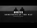 Aortes - Something In The Way (2023)