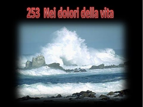 253  NEI DOLORI DELLA VITA - KARAOKE