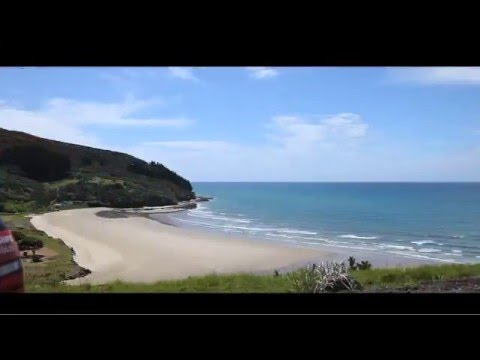 Activities & Things to do - Paihia, The Bay of Islands & Northland