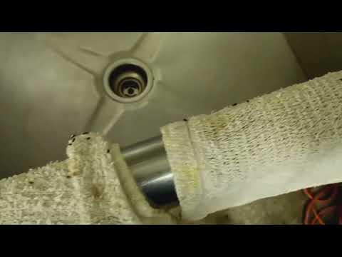 Drain Flies All Over the Sink Room in Barnegat Light, NJ