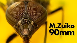 Video thumbnail for M.Zuiko 90mm f/3.5 Long Term Review – The Best Macro Lens Money Can Buy? by Micael Widell