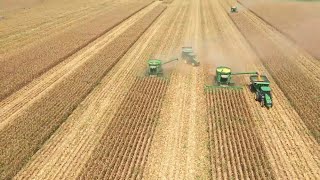 Grain Chain - Video - 1