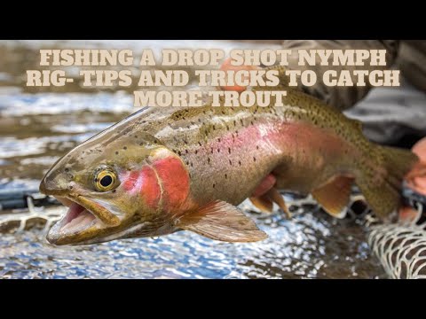Fishing a Drop Shot Nymph Rig- Tips and Tricks to Catch More Trout
