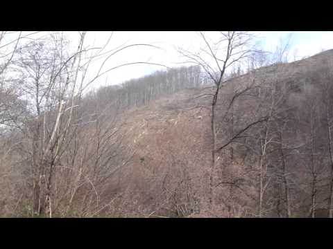 Judet Hunedoara, Comuna Zam in drum spre Cebia