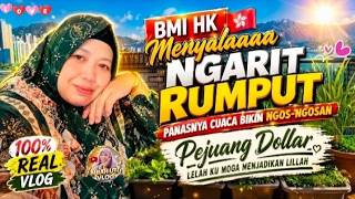Download lagu Time to cut grass, folks; planted veggies but weeds grew instead @mbahuti-vlog mp3