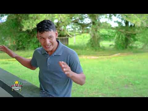 Description or Alt Text