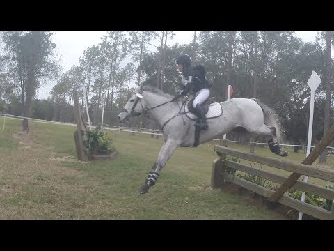 Aki Joy Maruyama  "J'espere"  Three Lakes Horse Trials  (PR) 2-4-2018