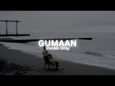 Gumaan | Talha Anjum & Talhah Yunus | Vocals Only | ReverbHub
