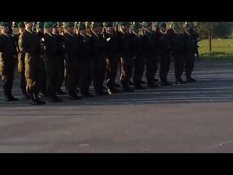 Musztra paradna. Pokazy wojskowe w Woli Gułowskiej