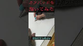 【しおから画伯】カタパッドをかいてみた #サモラン #スプラ3