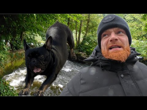 Walking my dog in St catherine's park 🌳