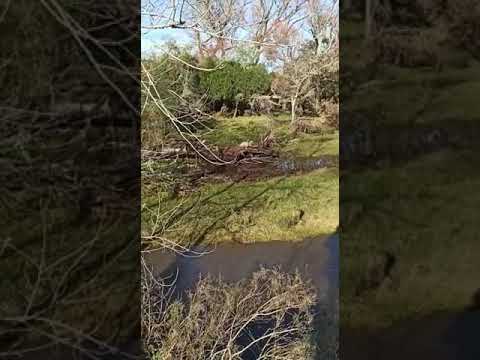 Campo de 80htas Lavalleja - Estación Solís.