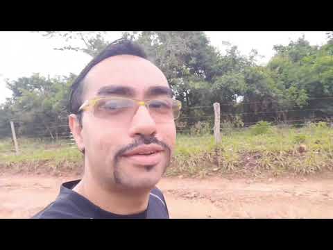 CONFIANÇA E AMPARABILIDADE.