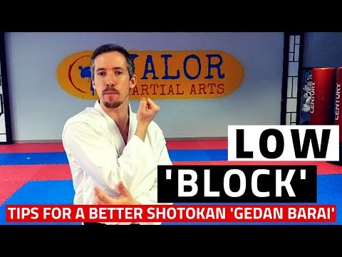 Low Block / Gedan Barai Tutorial | Shotokan Karate Techniques