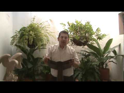 EVANGELIO DIARIO 11 DE AGOSTO 2011 - PARROQUIA LA SAGRADA FAMILIA