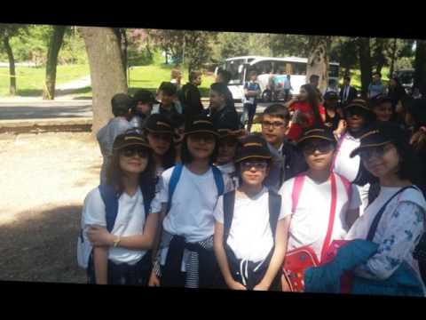 IC Romeo Cammisa Sant'Antimo NAPOLI