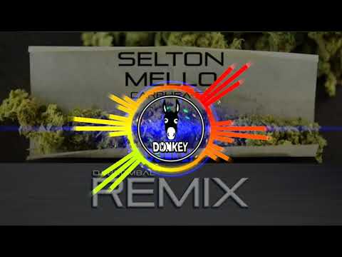 Cachorrinho fdp ( REMIX DEEP HOUSE )