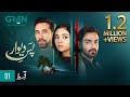 Pas e Deewar Episode 1 | Arsalan Naseer | Noor Zafar Khan | Ali Rehman Khan [ ENG CC ] Green TV