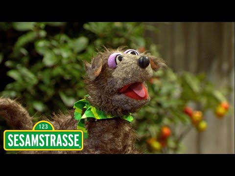 Eine Möhre für Zwei: Die seltsame Nachbarin | Sesamstraße