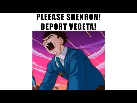 PLEEASE SHENRON! DEPORT VEGETA!