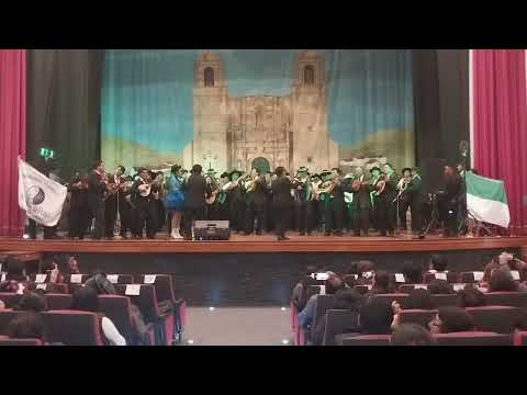 Estudiantina Unificada