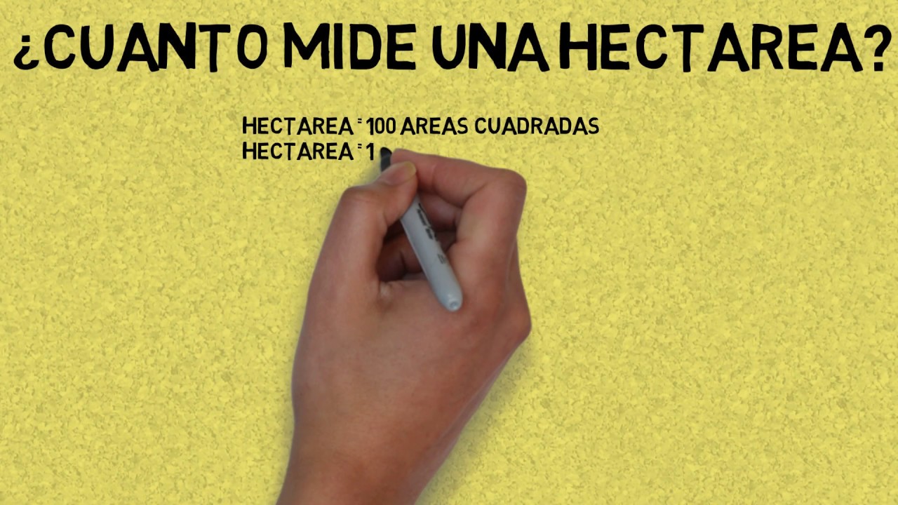 ¿Cuanto Mide Una Hectárea 🥇 | LAS RESPUESTAS A TUS PREGUNTAS