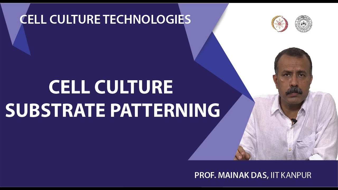Cell culture substrate patterning