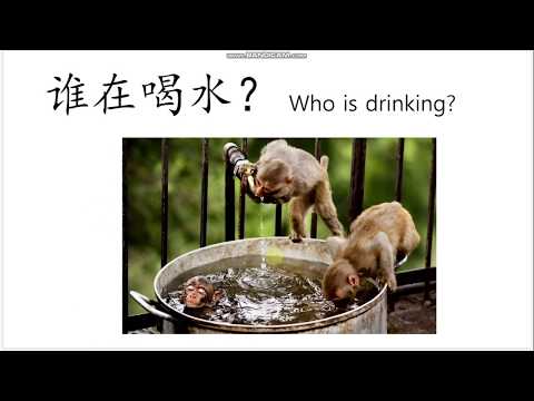 20200511 G1 online Chinese class