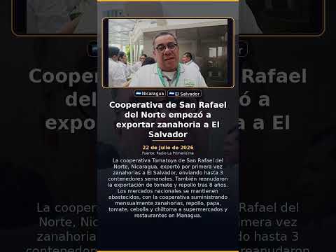 Cooperativa de San Rafael del Norte empezó a exportar zanahoria a El Salvador