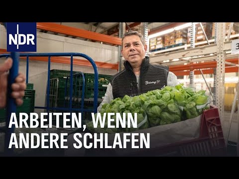 Arbeiten in der Nachtschicht: Großmarkt, Bahnstrecke, Friseur, Großküche | Die Nordreportage | NDR D