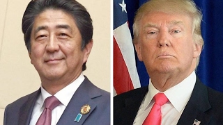 LIVE STREAM: President Donald Trump Holds a Joint Press Conference with Japanese PM Shinzo Abe