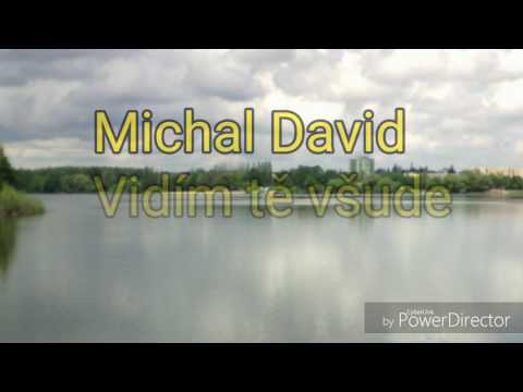 Michal david - Vidím tě všude TEXT