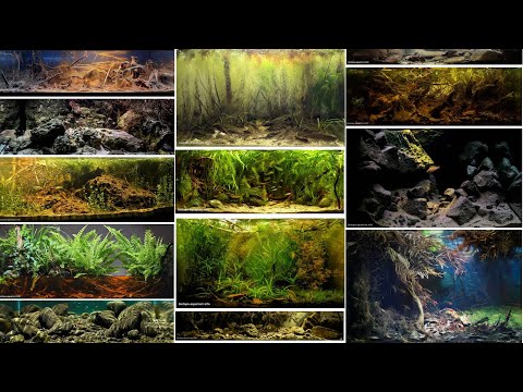 110 tanks of the BADC 2020 competition. Cinematic