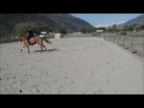 Reiten am 12 04 2020