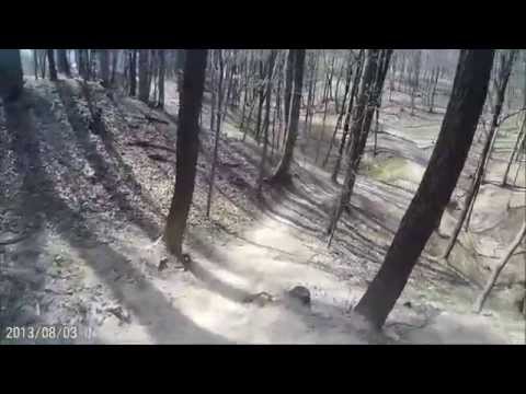 Mountainbike Downhill im Wienerwald / Gablitz