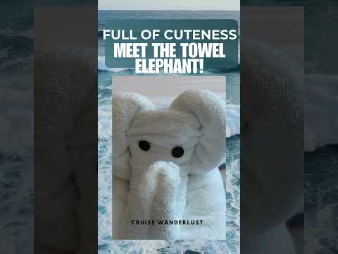 Thumbnail for MEET THE TOWEL ELEPHANT!  #cruiseexperiences #carnivalcruise