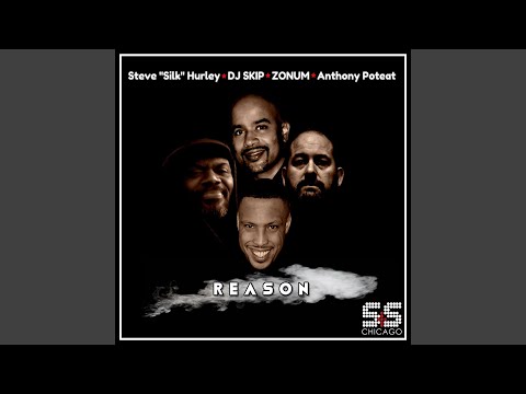 Reason (Fat V Remix)