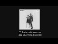 Television Personalities - Diary of a Young Man | Subtitulada al español