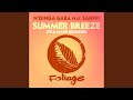 Summer Breeze Fka Mash Instrumental Re Glitch