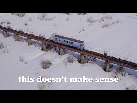 How Rural Japanese Trains Still Exist