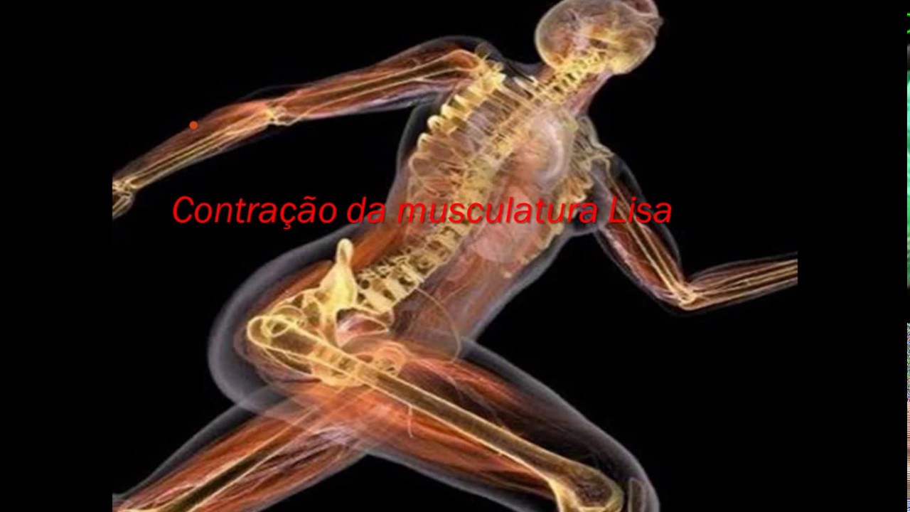 FISIOLOGIA - Músculo liso PARTE 01