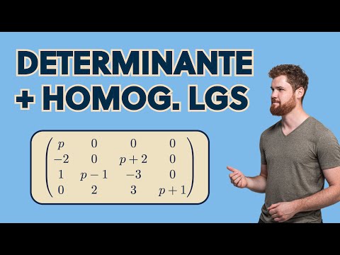 Determinant (4x4) with parameters + Homogeneous system of linear equations Ax=0 | Math 1 Wiing, H...