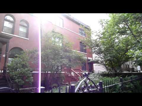 A video walk down the 2400 block of Orchard in Lincoln Park