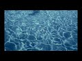 Before The Night Ends Paper Love Official Lyric Video