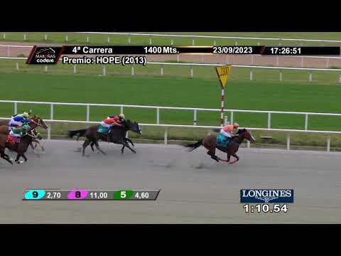 230923 c04 MAGESTIC HONOR